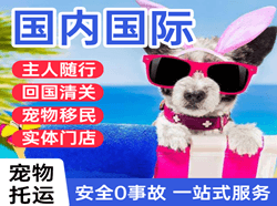 济南空运国际宠物托运 【国